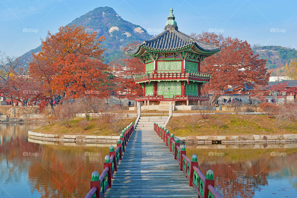 Wonderful place like no other 💖