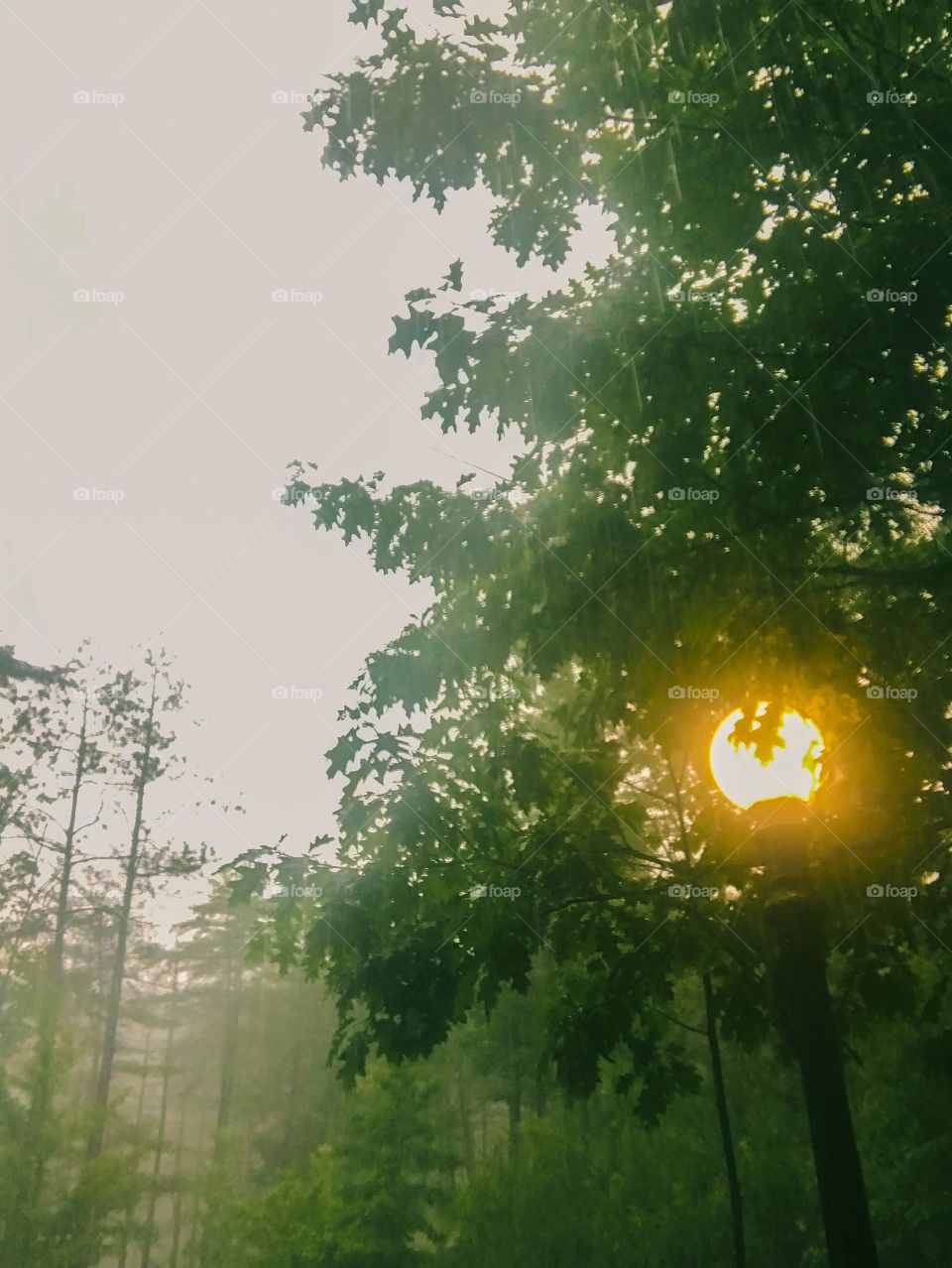 Rain making a evening refreshing.