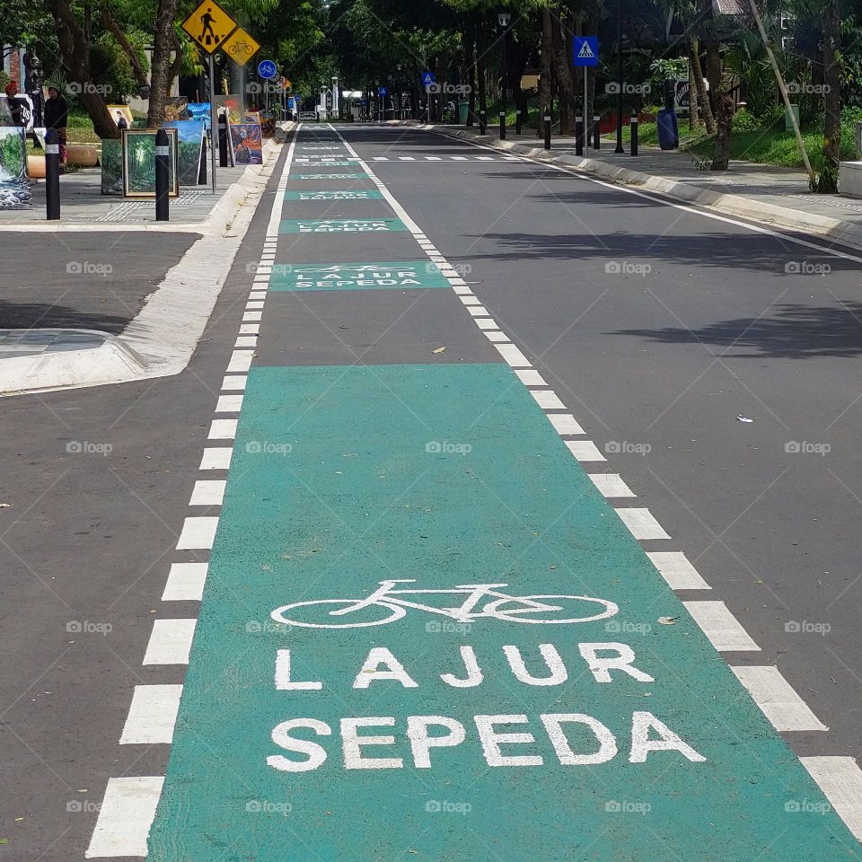 bicycle path on an empty road with trees on the side