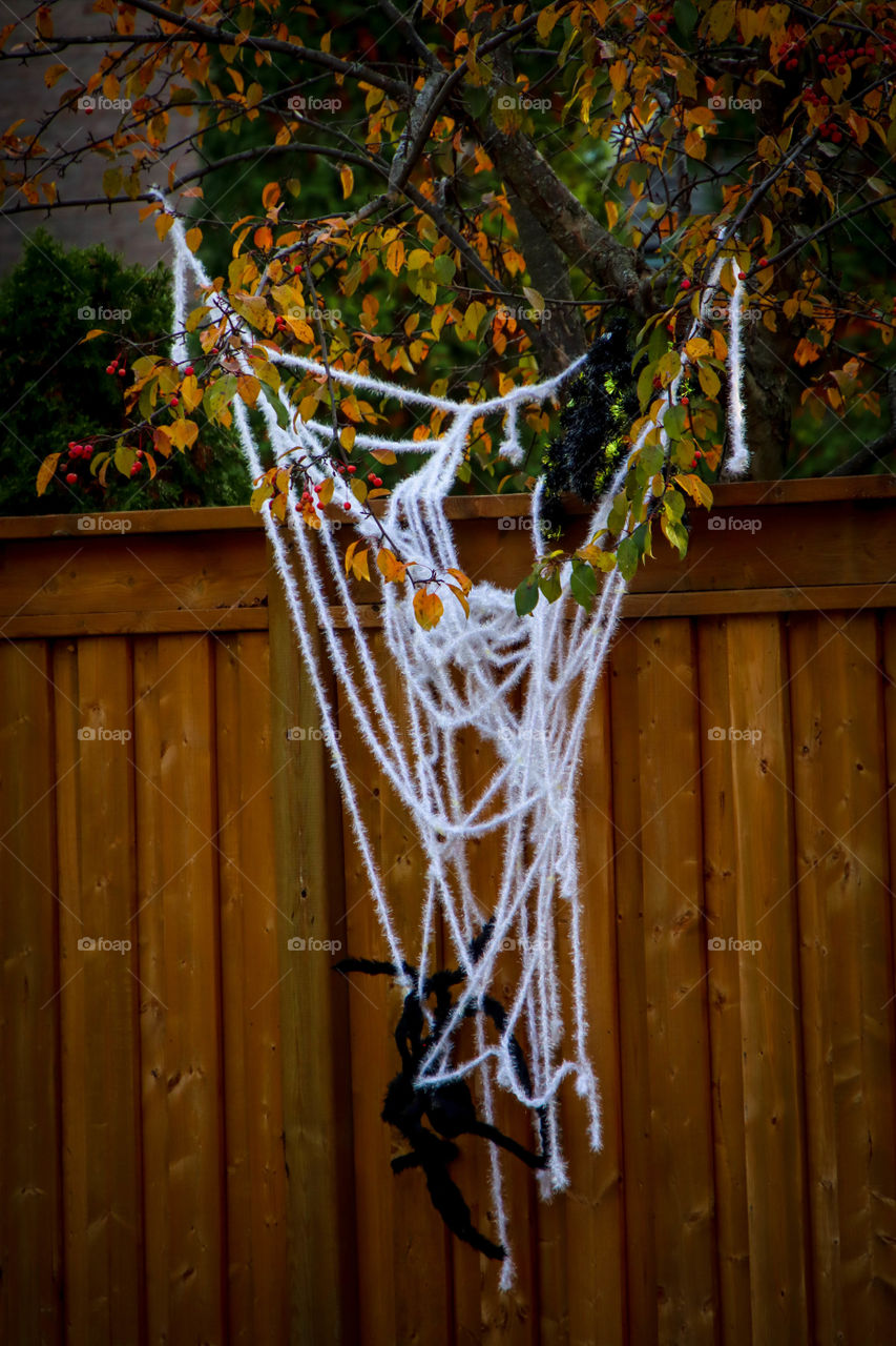 Spider web decoration for Halloween