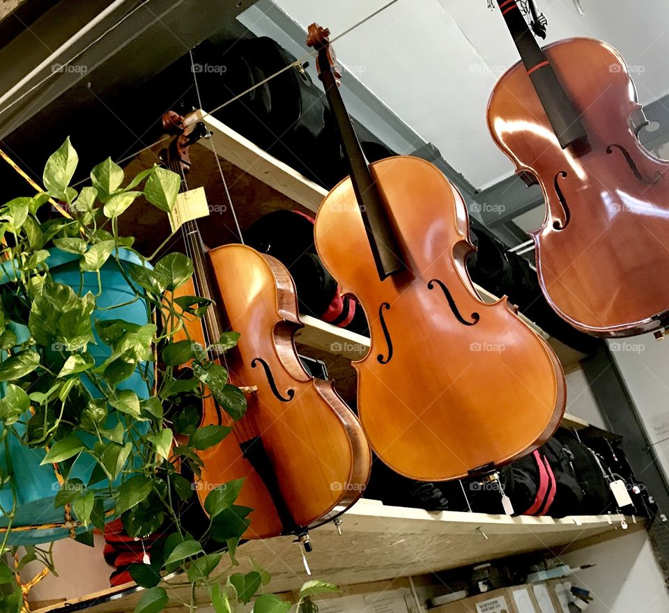 Cellos in Factory