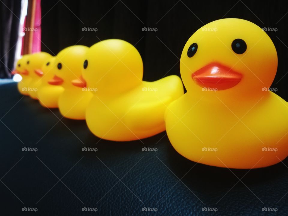 the cute toys are looking in front very nize captured