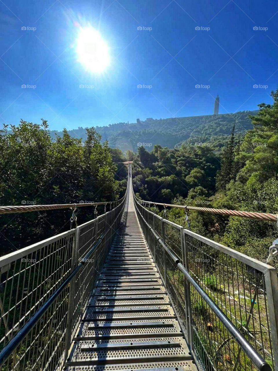 Nature in Haifa