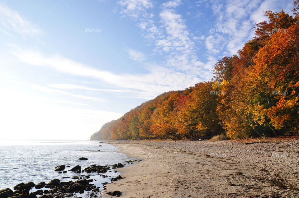 Autumn in the seaside