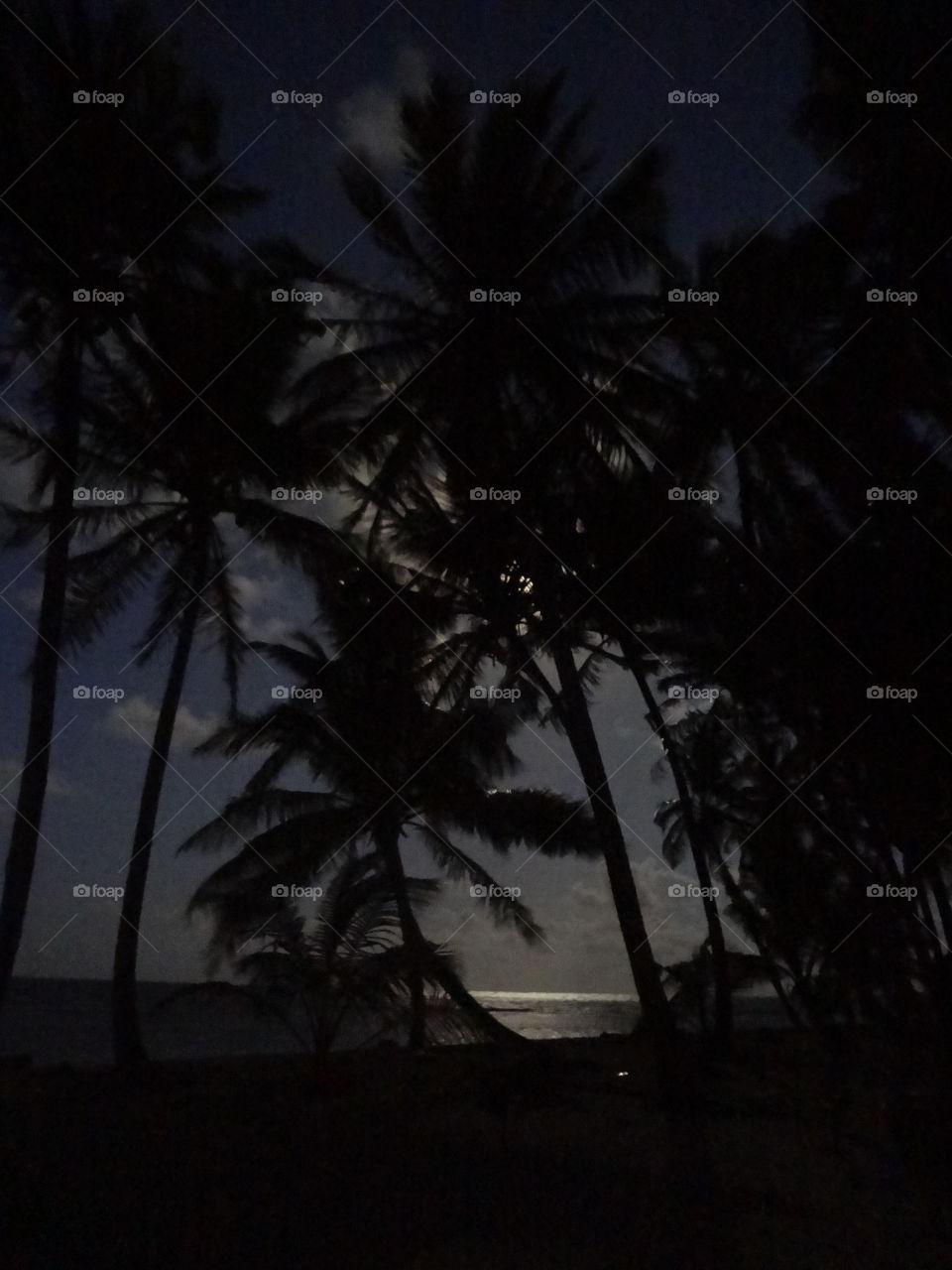 Beach at night 