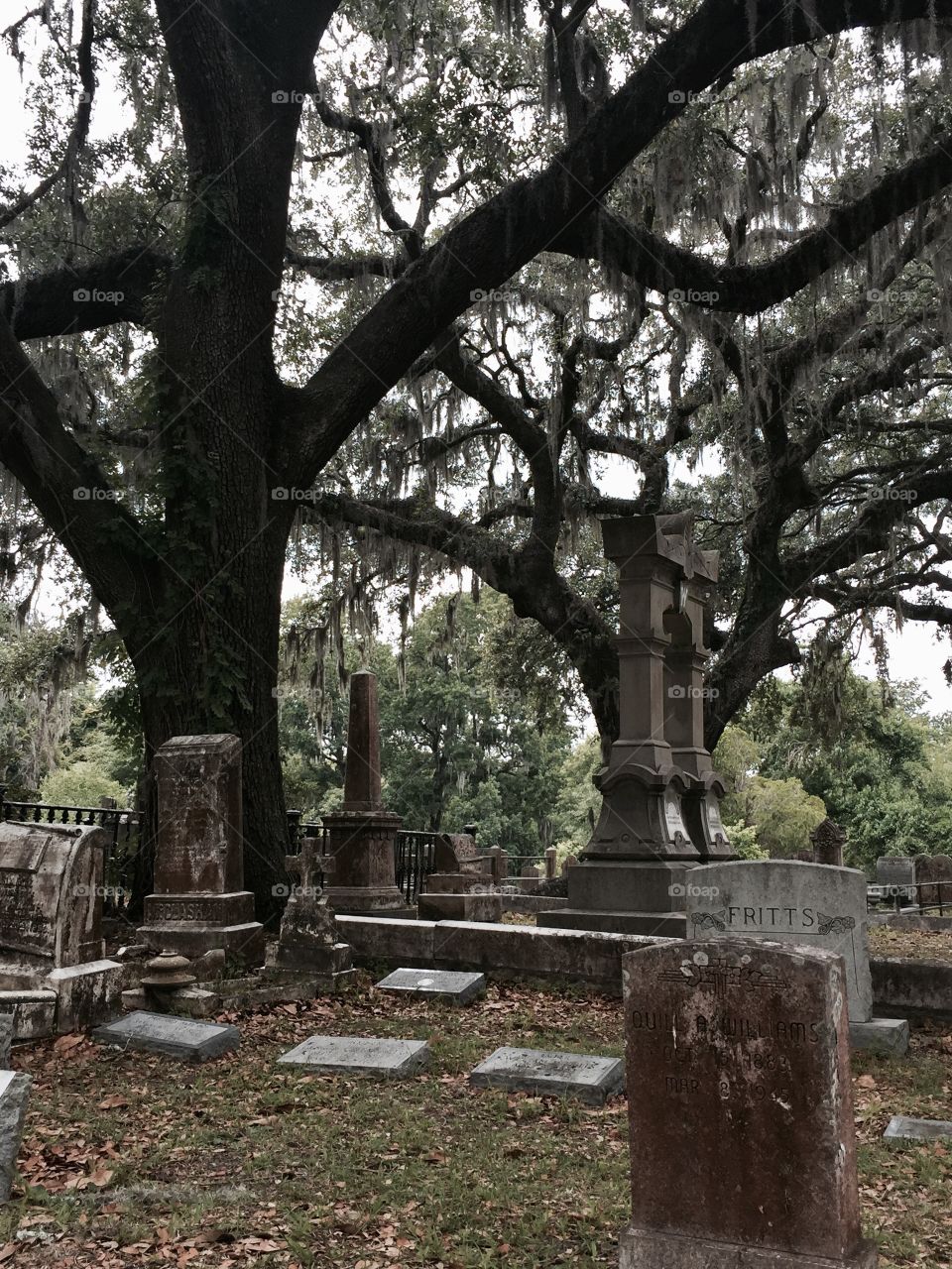 Creepy cemetery in Georgia.