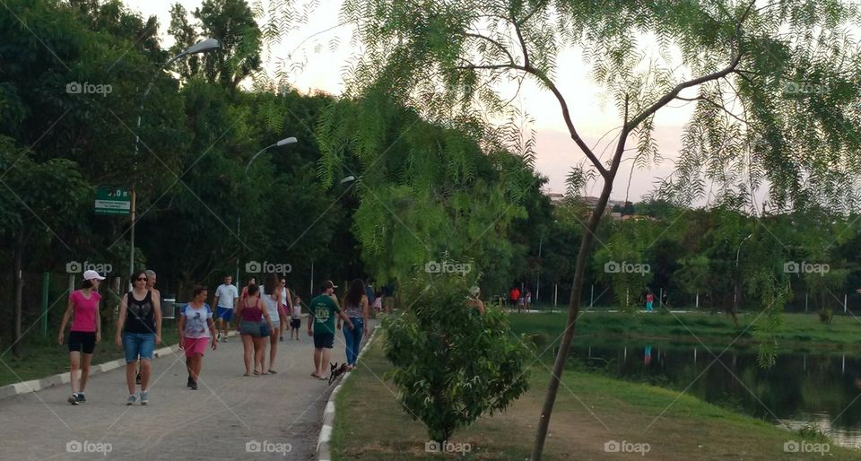 Doing exercises with the Nature.