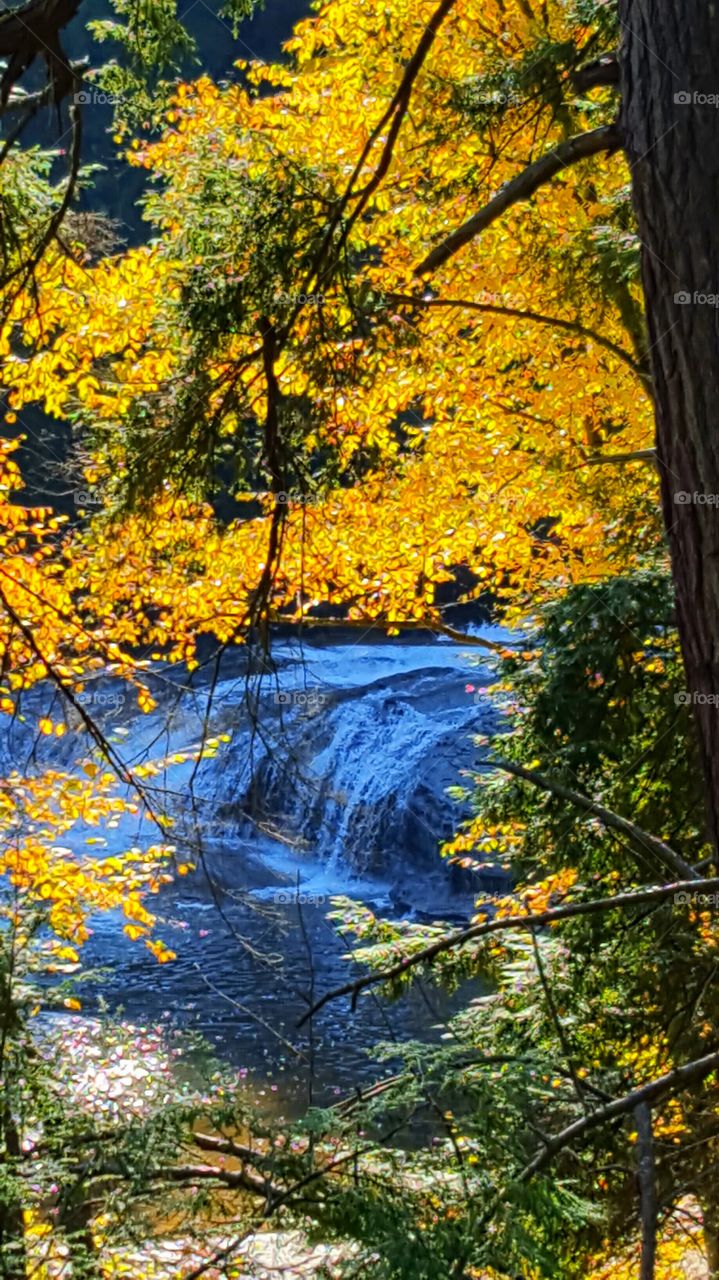 waterfall in autumn