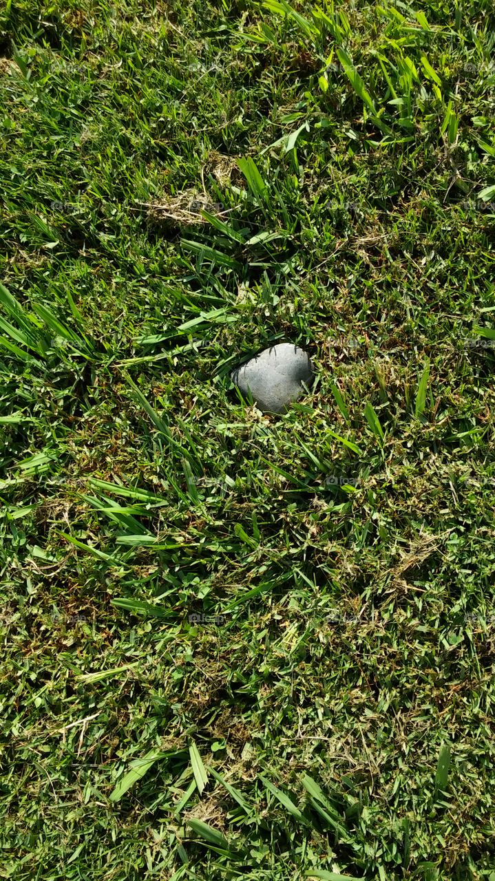 heart-shaped rock in a field of green grass