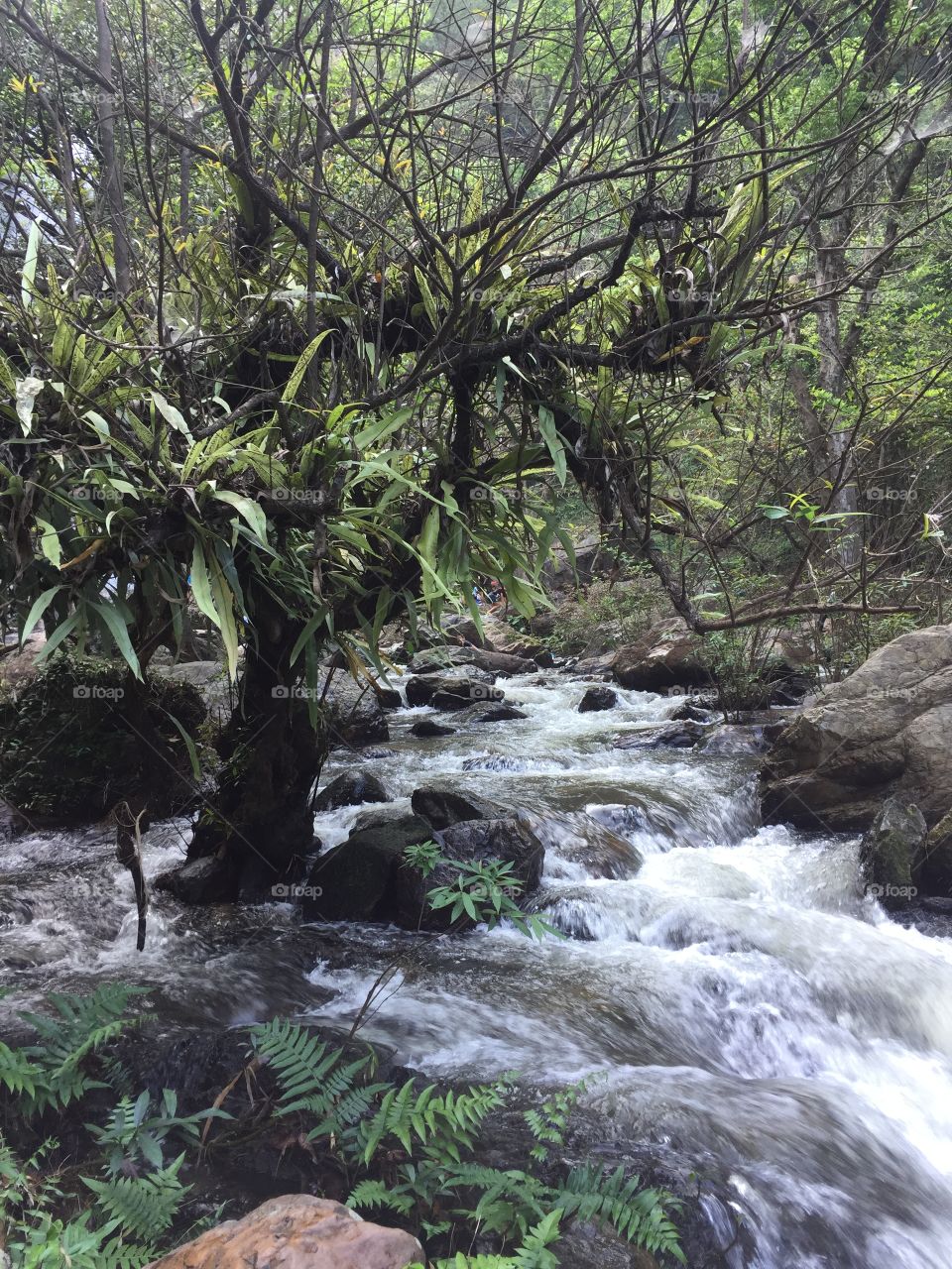 Khlong Lan Waterfall