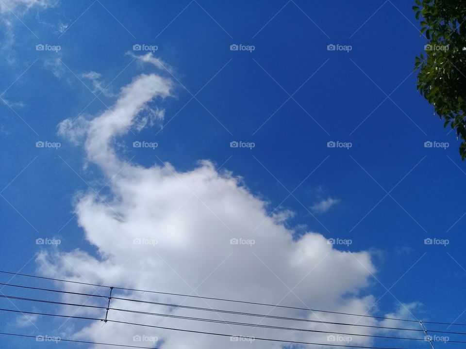 .the sky reveals its splendor and at the same time its wonders to our eyes