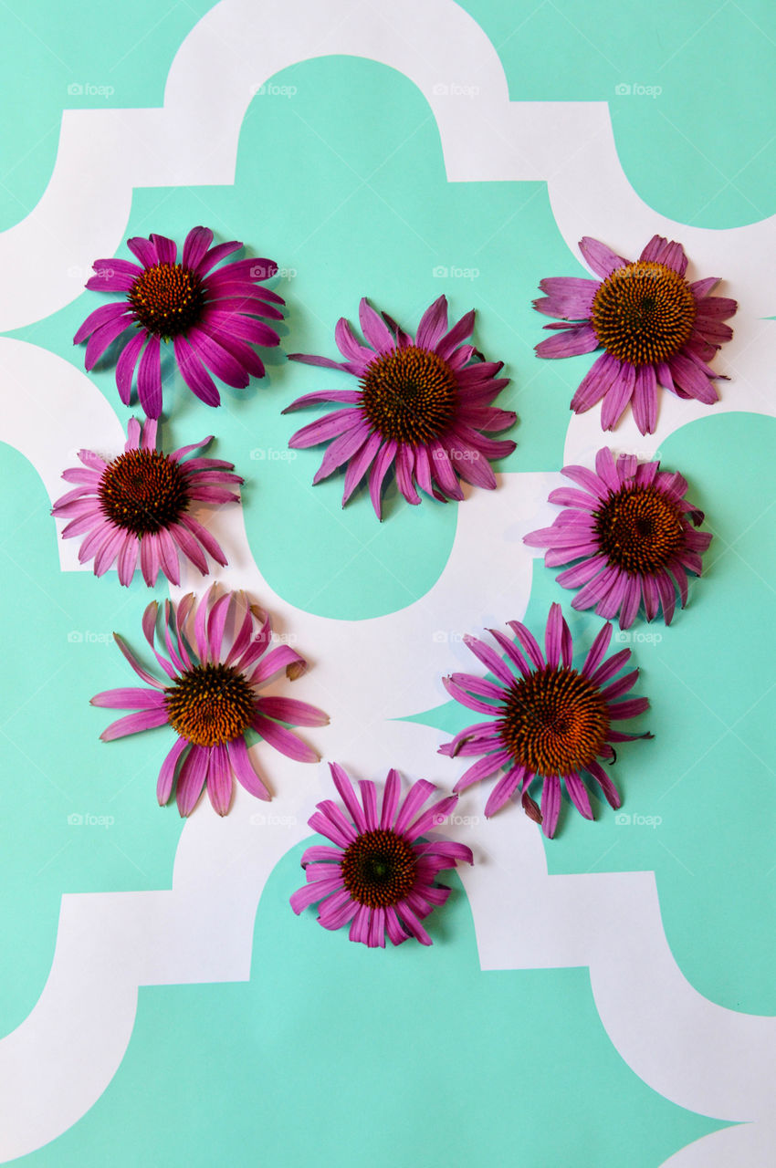 Purple wildflowers arranged in a heart shape on a teal and white backdrop