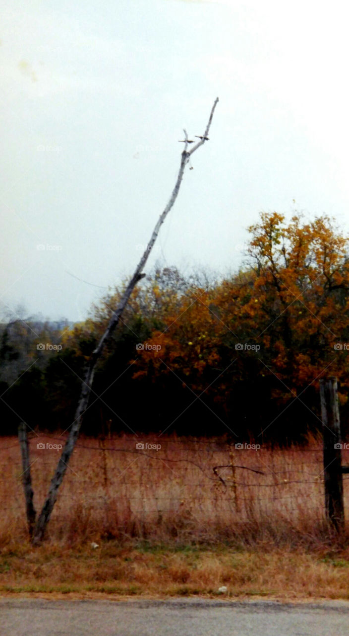 Obsolete Telegram Pole