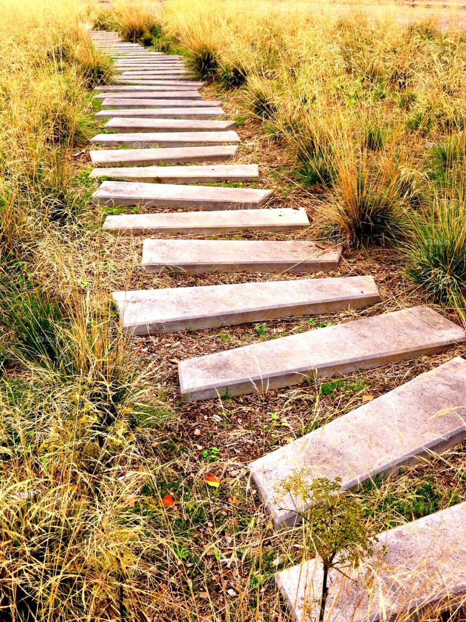 rural path