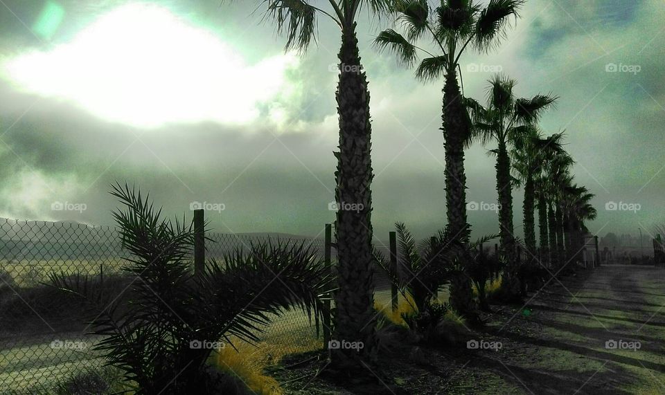 fog rolling in shutting out the sunlight, going through the Mojave desert