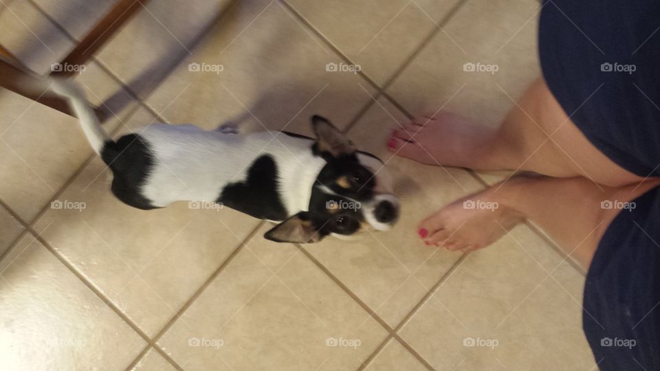 patiently waiting...