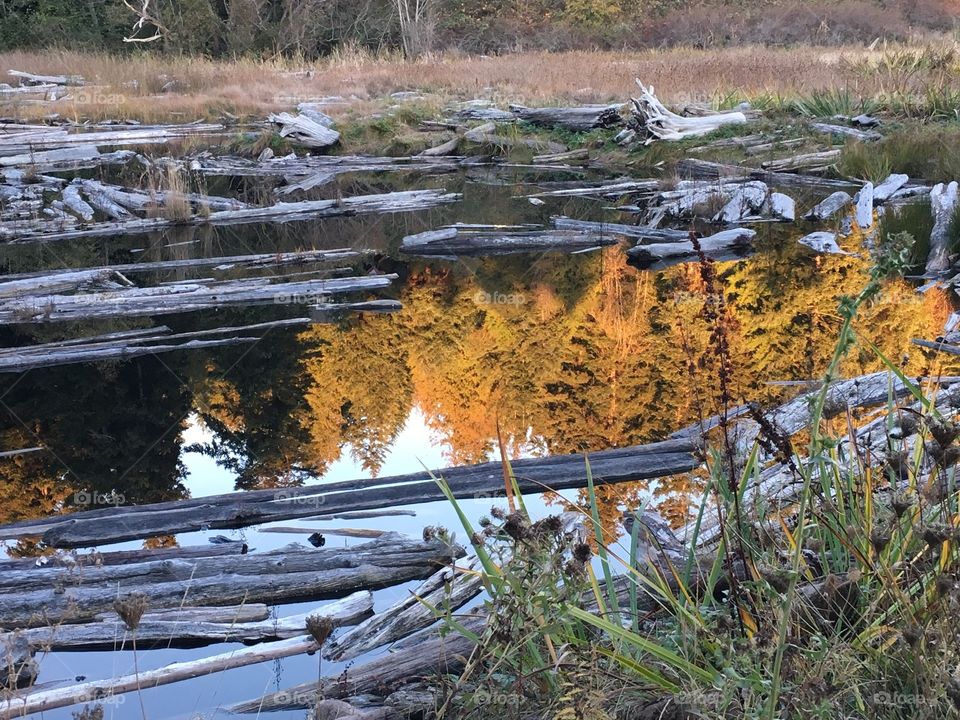 Lagoon at Cook‘sCove in fall