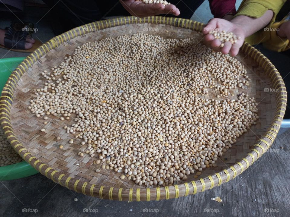 Soybean is a type of legume that is the basic ingredient of many foods from East Asia such as milk, soy sauce, tofu, and tempeh.