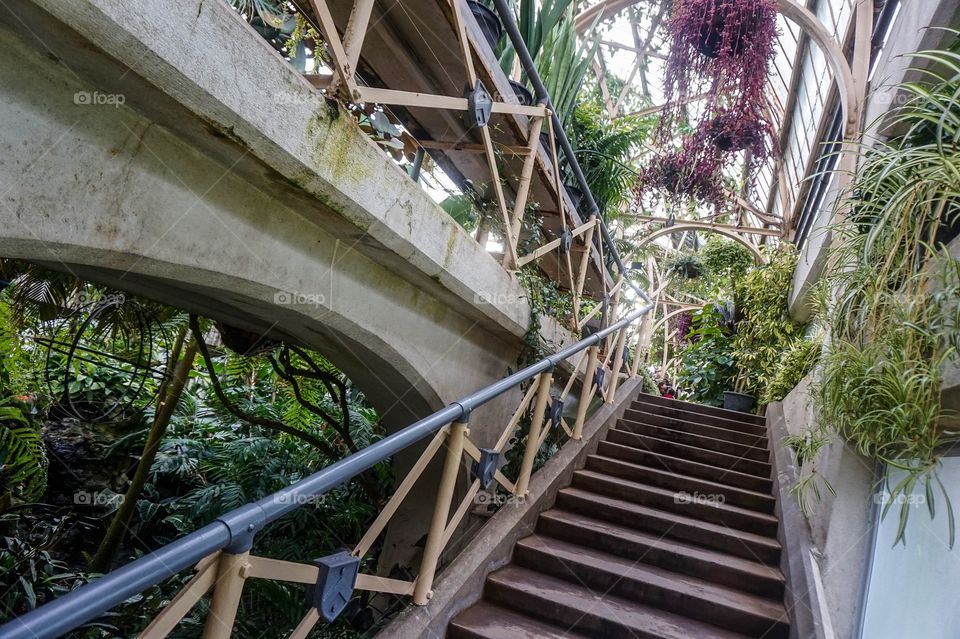 Stairs in the two-story conservatory at Christchurch Botanic Gardens, New Zealand 