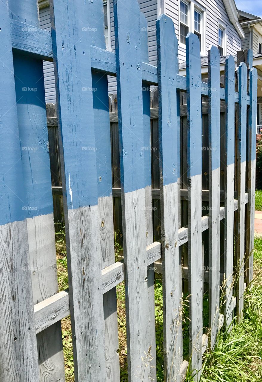 Half Painted Fence