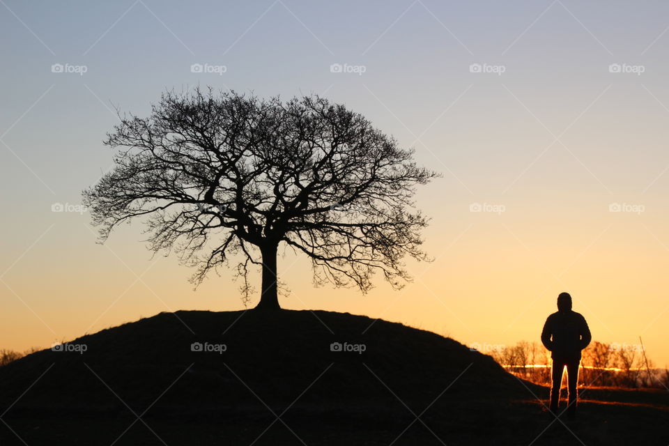 Lonely Tree