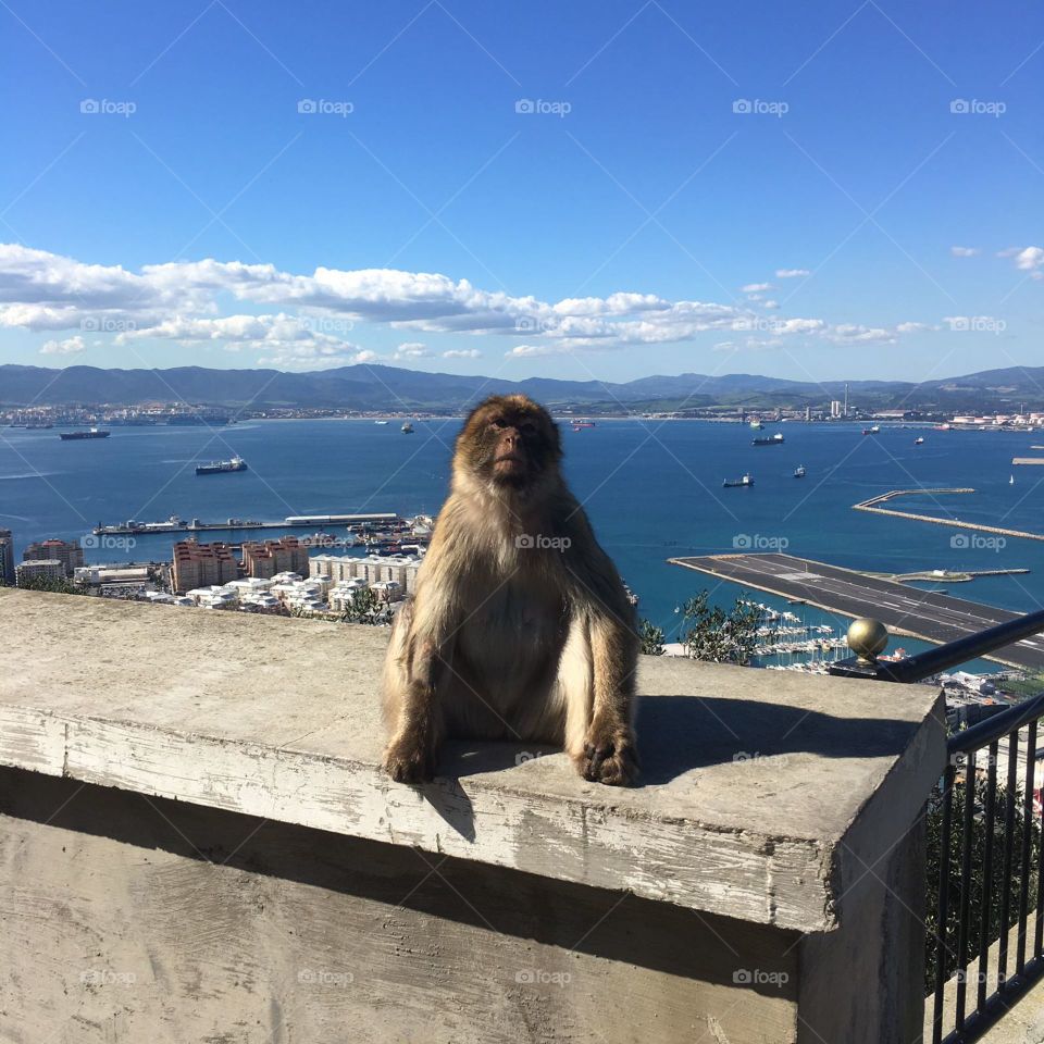 Views from Gibraltar 