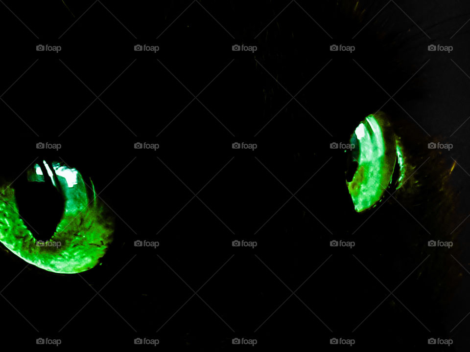 Strange eyes in the darkness