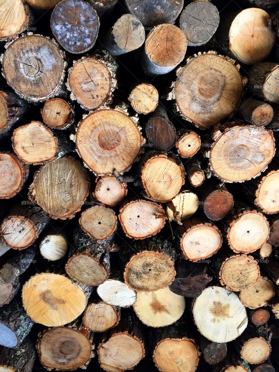 Perfect Wood Pile 