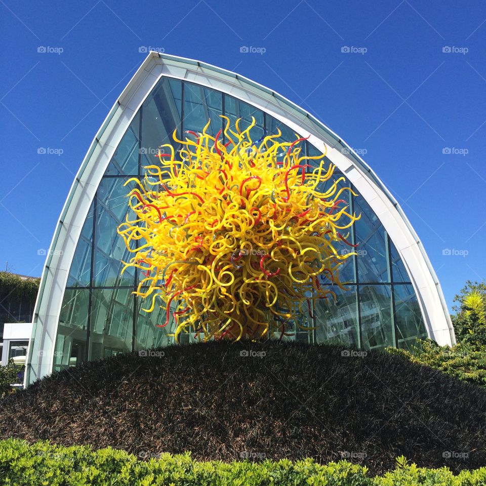 Chihuly glass display on a summer's day -Seattle, WA