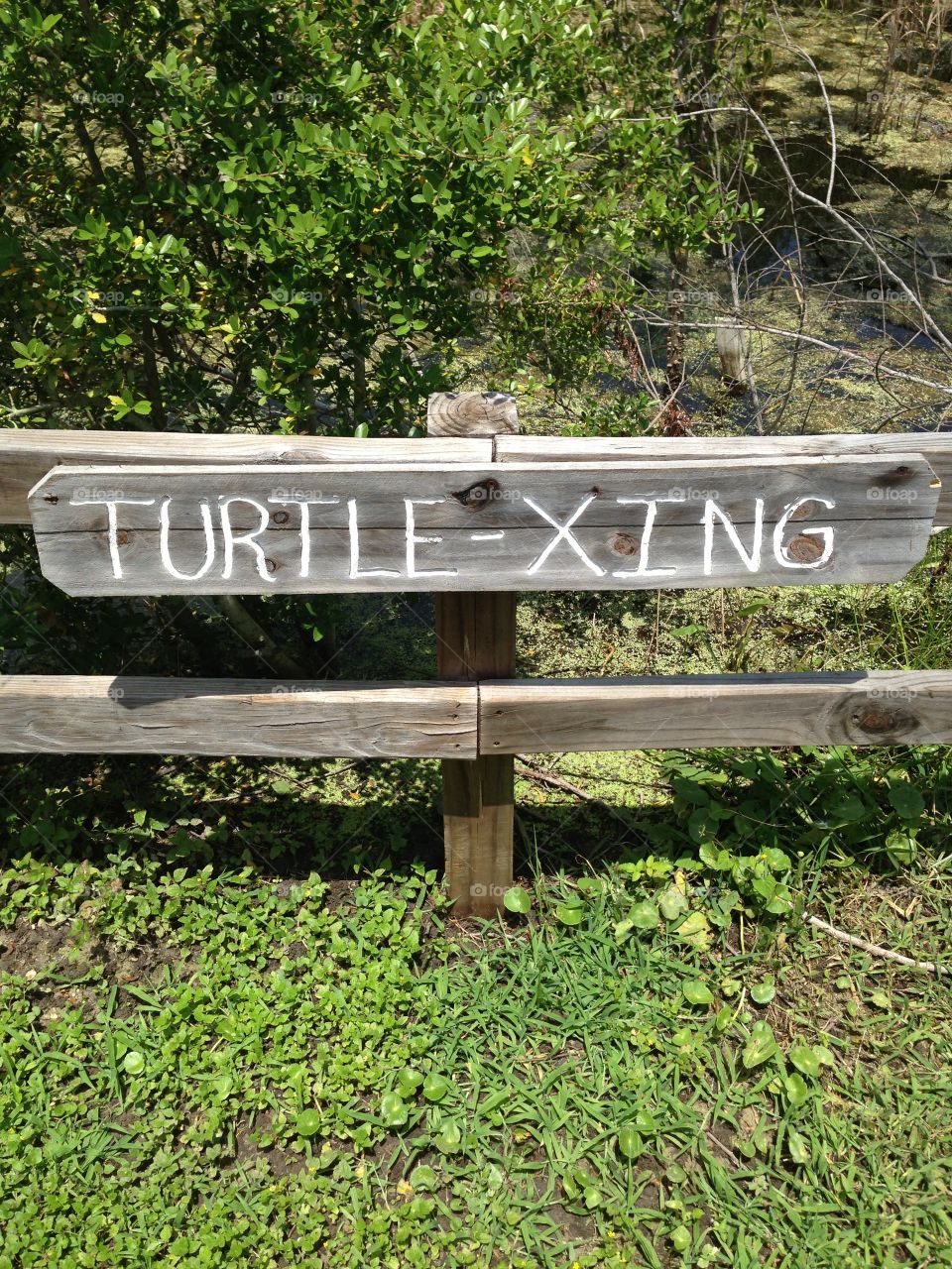 Wood fence with wood sign reading TURTLE-XING, turtle crossing sign, nature center