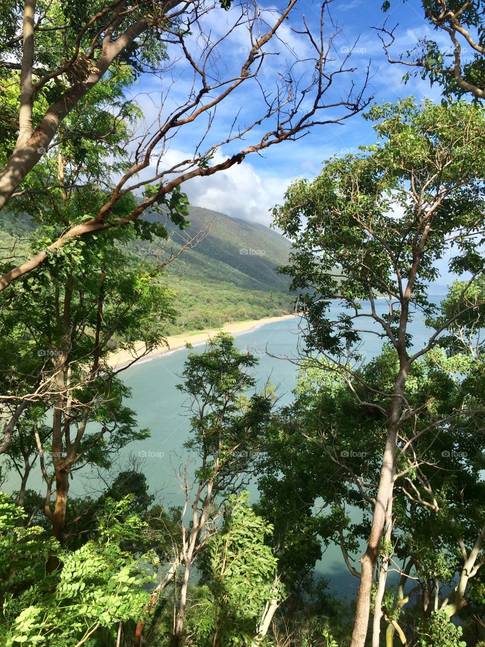 A quiet shoreline and lush rainforest mountain @ cairns 