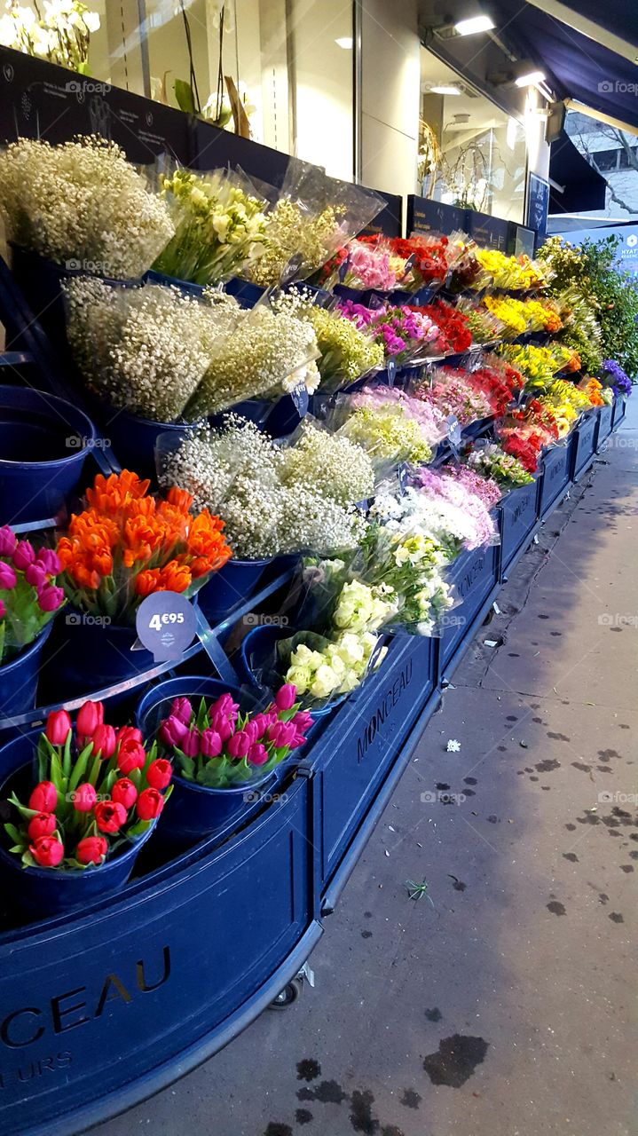 Florist in Paris, Monceau Fleur