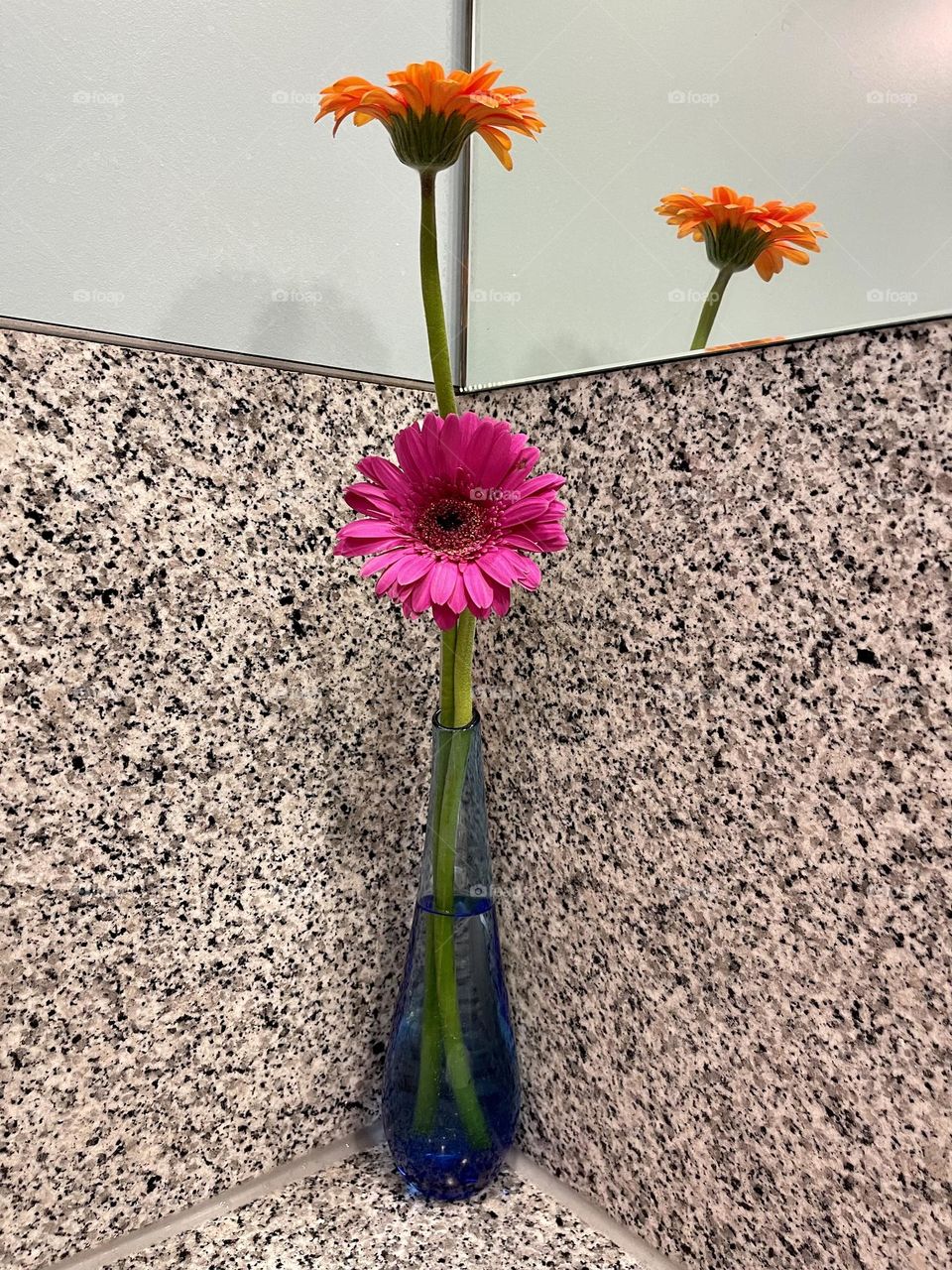 Bright beautiful flowers in the vase 