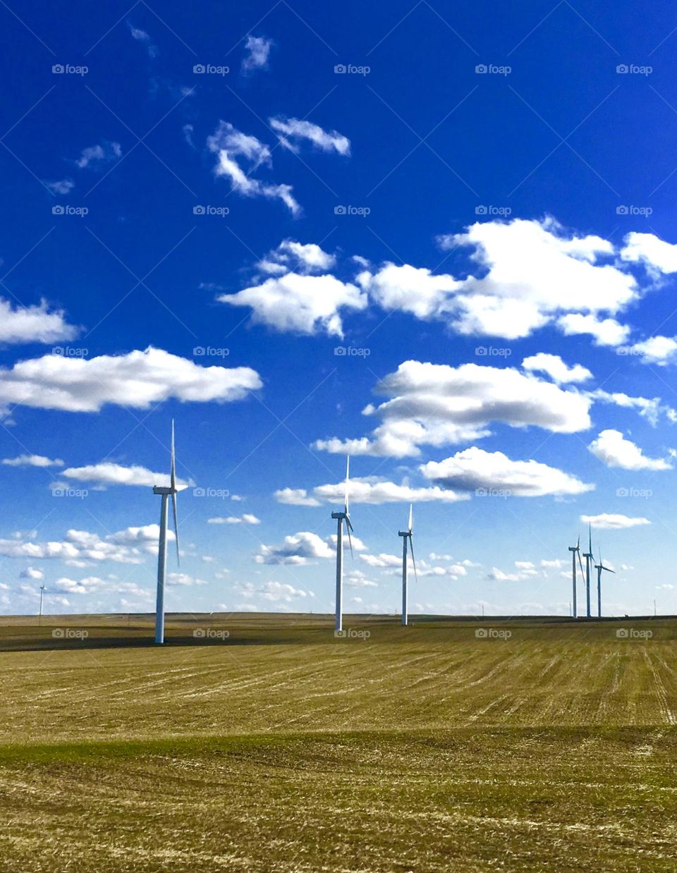 Windmills 