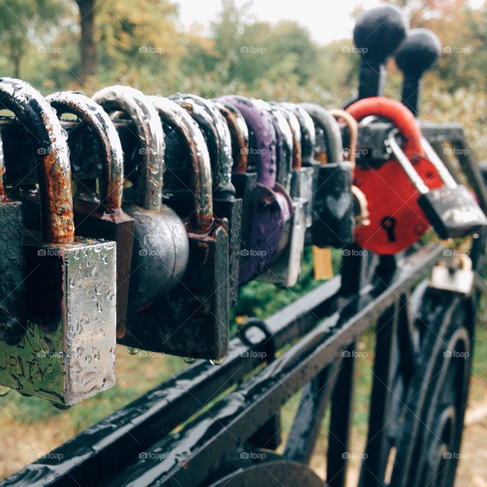 Close-up of multi colored locks