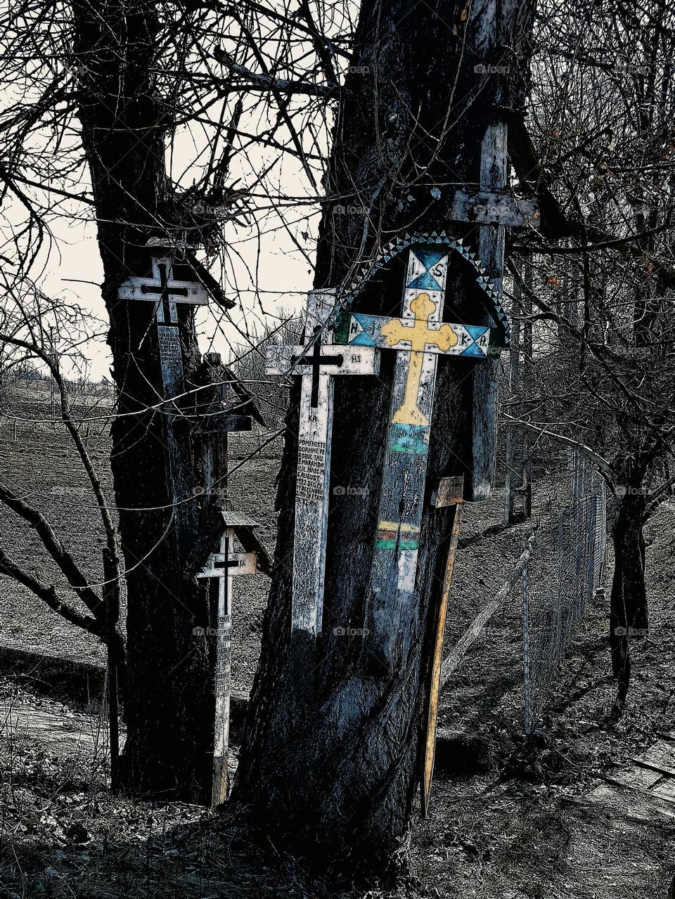 crosses in the tree