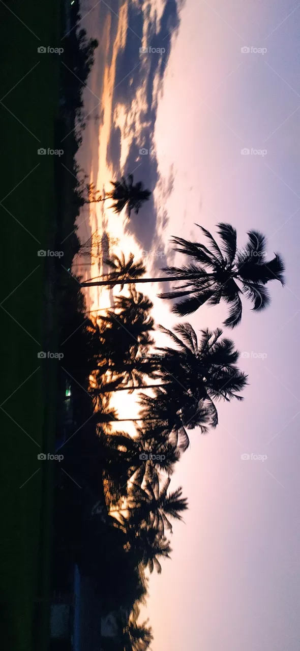 sunset