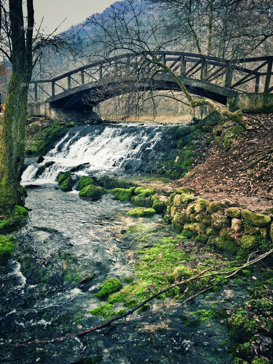 Water cascade in wild