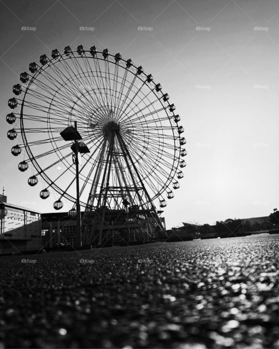 let's go round with Ferries wheel