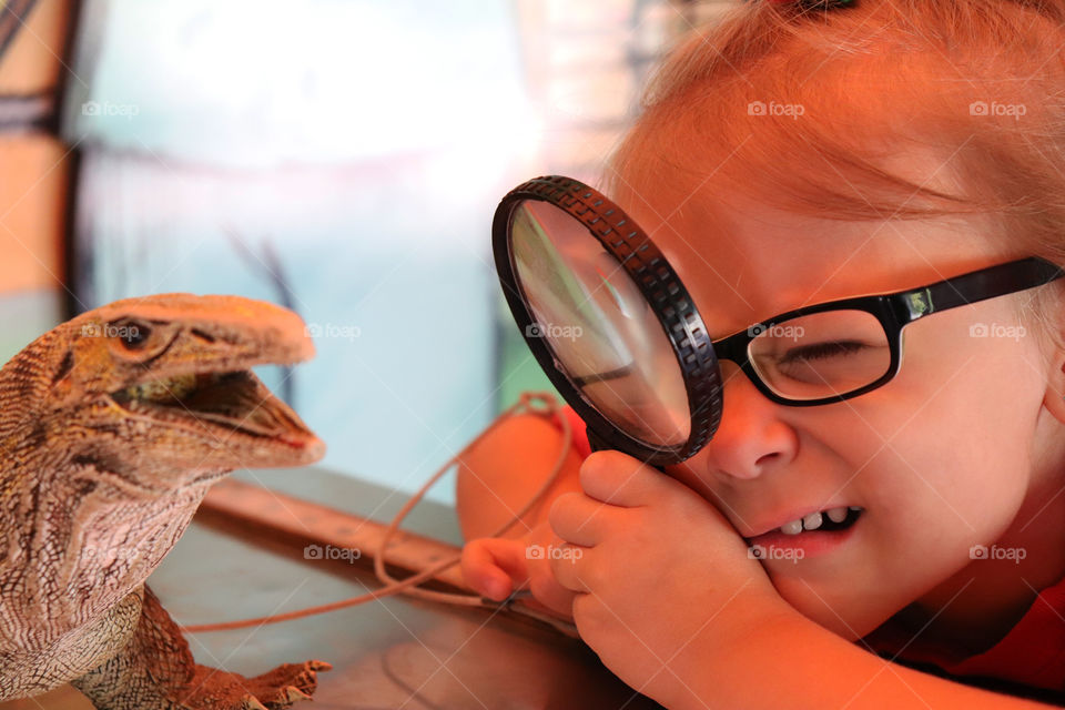 Child looking at a lizard