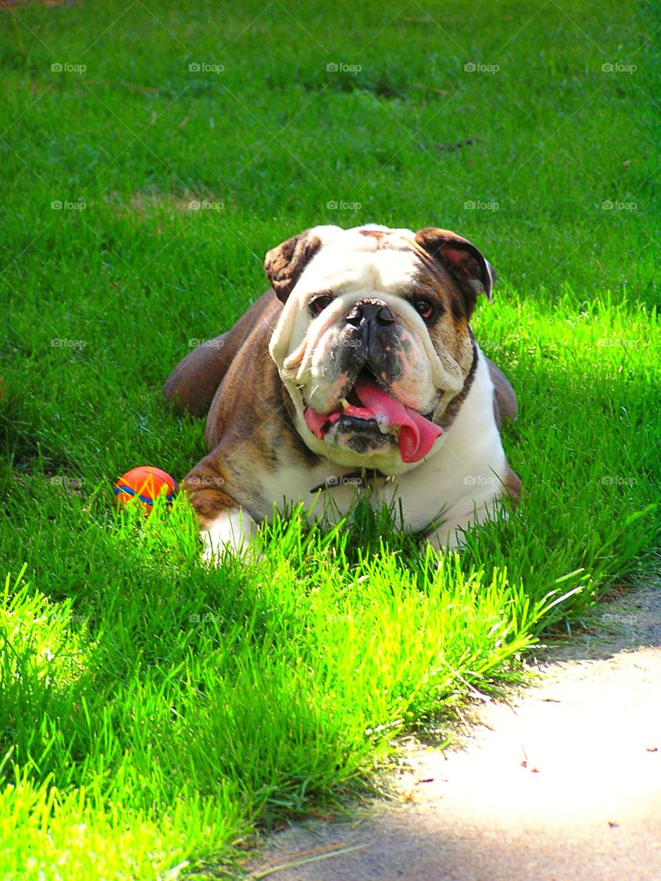 Tired. So it must be break time