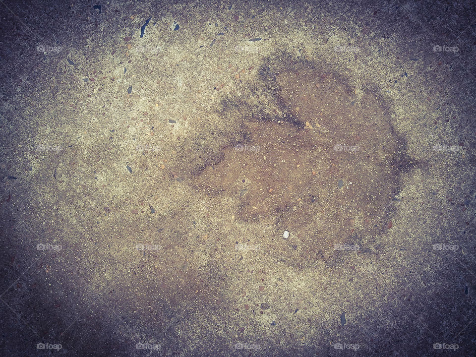 Leaf Memory. Imprint of a leaf on pavement