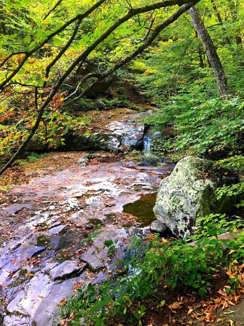 Appalachian Mountains Virginia water rock