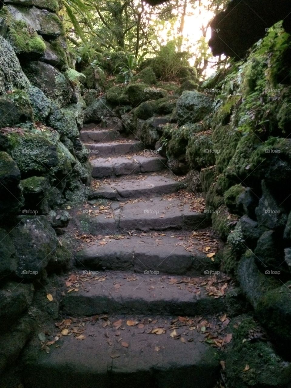 Stone steps leading up flanked either side by moss covered stones 