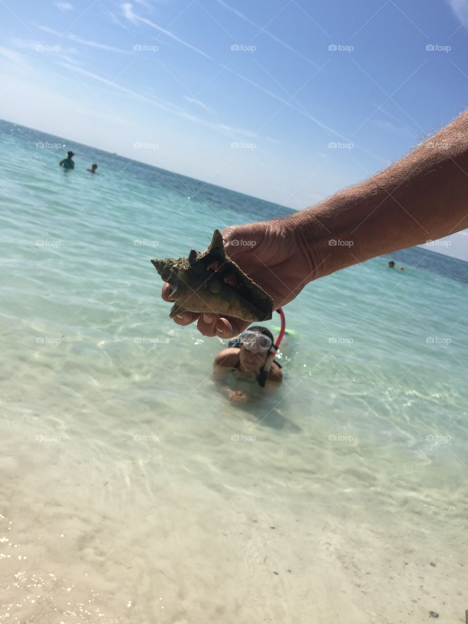 Key West, FL. I snapped this conch shell with a hermit crab in it as my friend swam up after snorkeling in Key West, FL