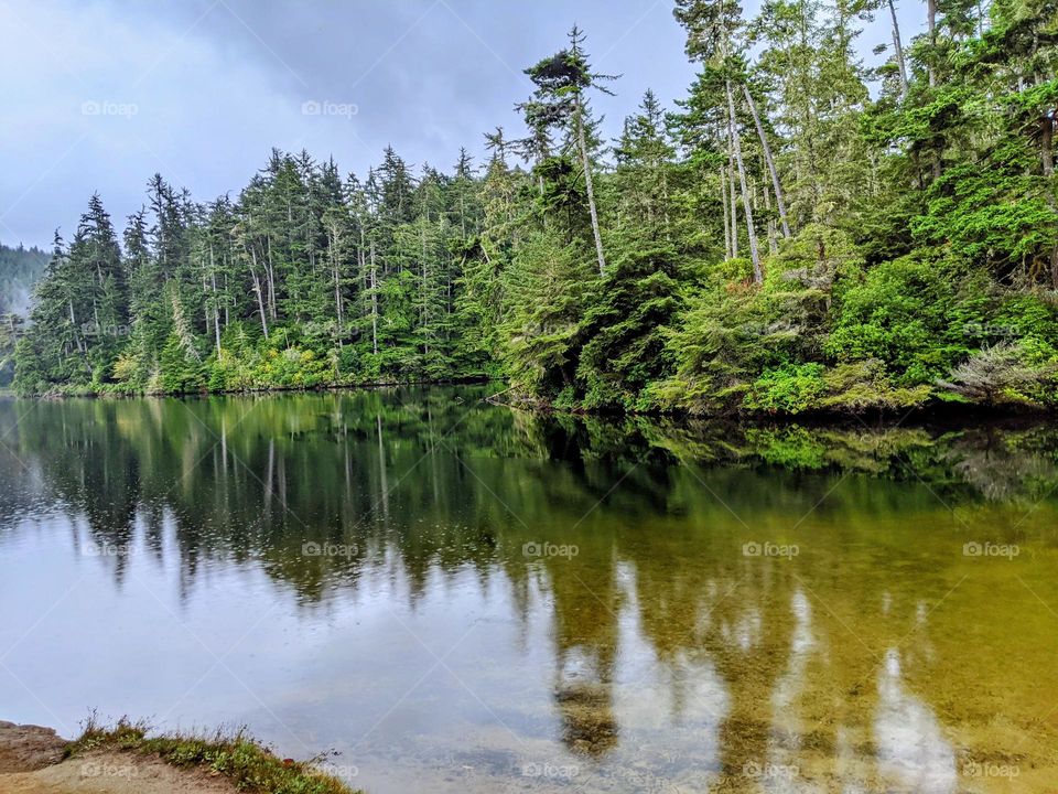 Lake reflection