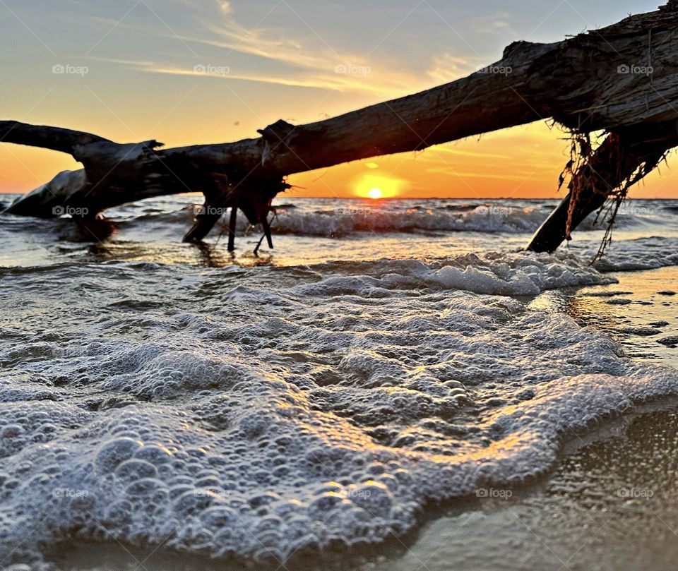 Sea foam at sunset - Sea foam on the waters breaking waves surface created by the agitation of seawater during a magnificent and descending sunset