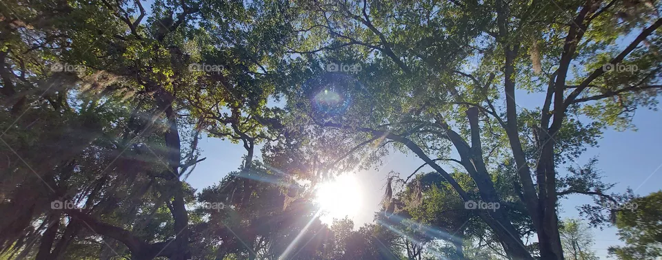 Sunshine !