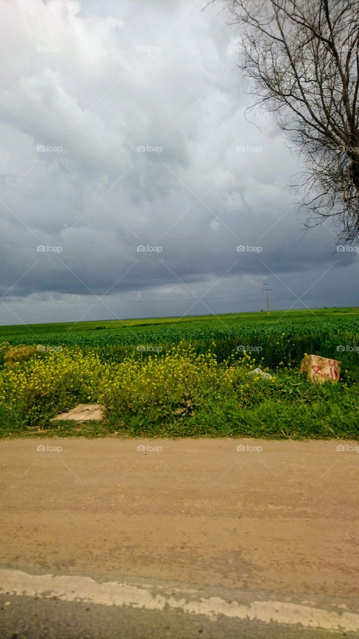 Spring is beautiful 2