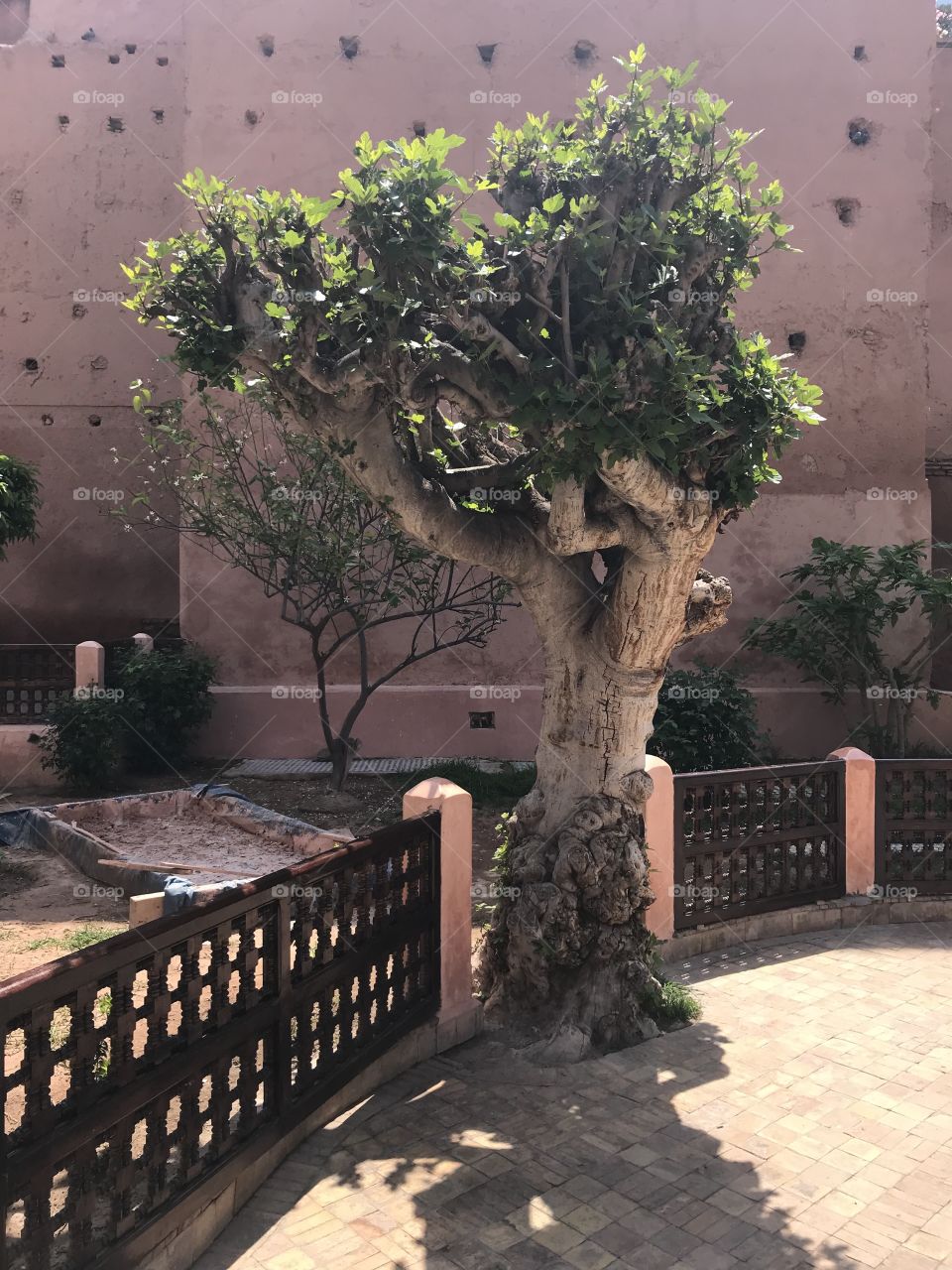 Túmulo saadianos, Marrakech 